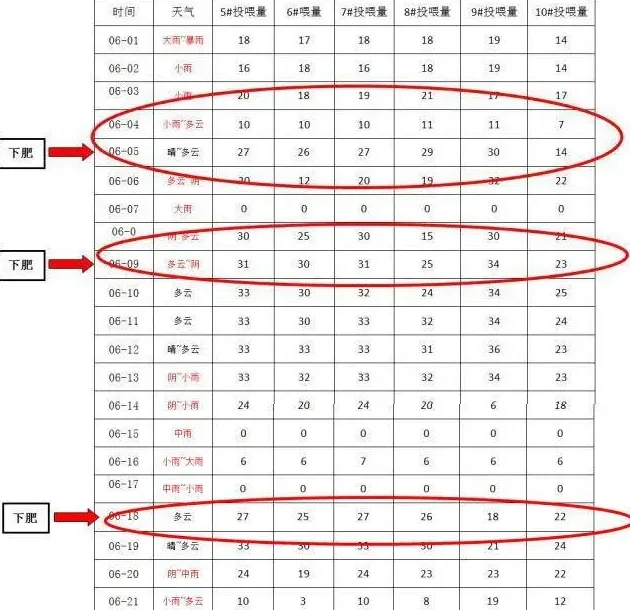 阴雨天有些水产养殖户为什么能保持较高投喂量