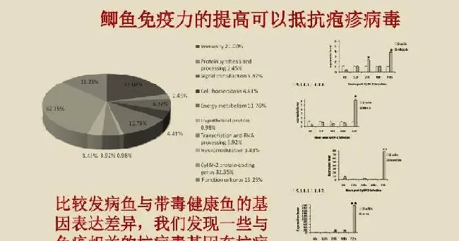 鲫鱼鳃出血病知多少，决定鱼值多少