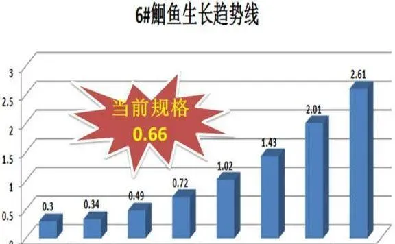 阴雨天有些水产养殖户为什么能保持较高投喂量