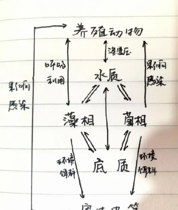 几张图让你看懂水质与发病关系