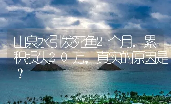 山泉水引发死鱼2个月，累积损失20万，真实的原因是？ | 养殖病虫害防治