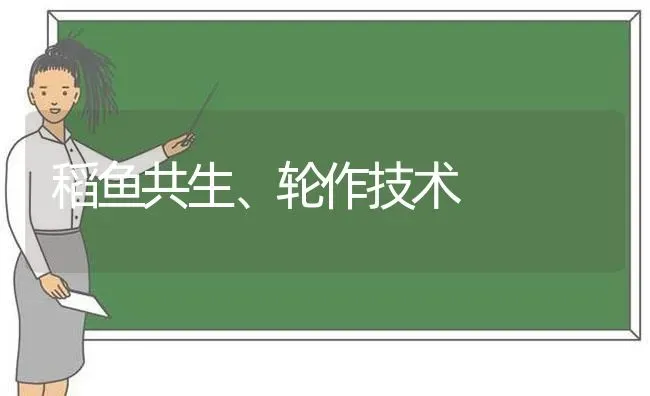稻鱼共生、轮作技术 | 动物养殖百科