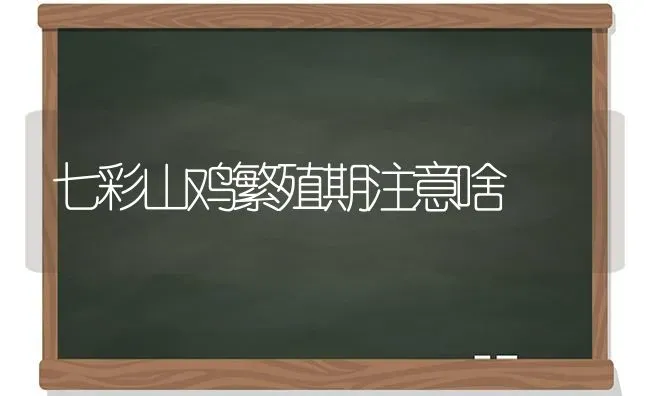 七彩山鸡繁殖期注意啥 | 家禽养殖