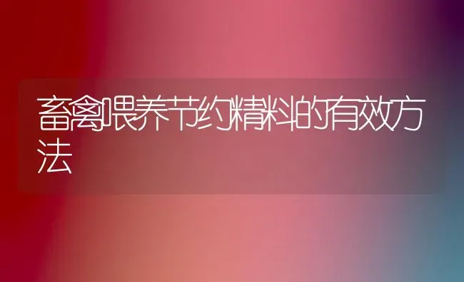 畜禽喂养节约精料的有效方法 | 家禽养殖