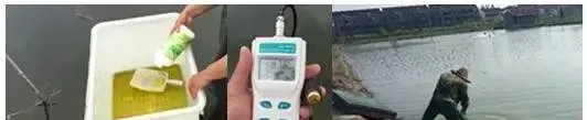 浅谈青虾放苗期间的重点工作