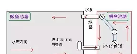 比净水更进一步：持久处理鳜鱼池塘浑浊水