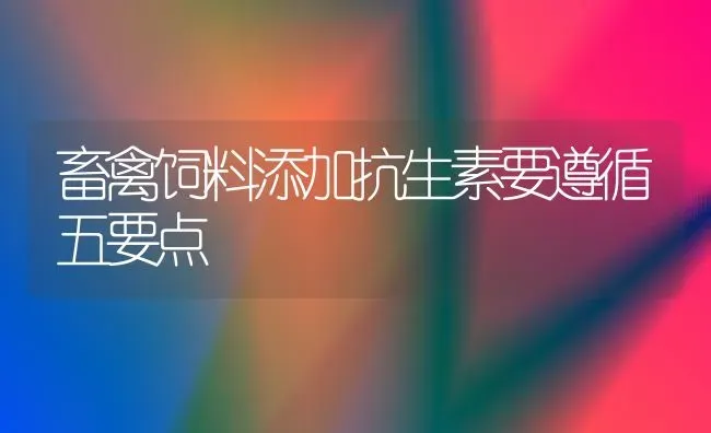 畜禽饲料添加抗生素要遵循五要点 | 动物养殖饲料