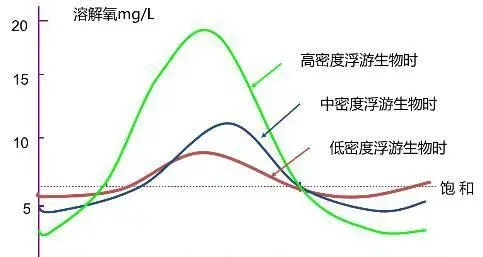 池塘水体中溶解氧，你真的弄懂了吗？