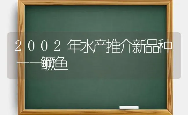 2002年水产推介新品种——鳜鱼 | 淡水养殖