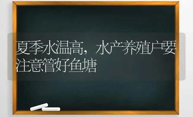 夏季水温高，水产养殖户要注意管好鱼塘 | 动物养殖百科