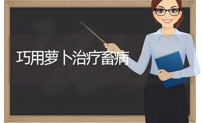 巧用萝卜治疗畜病 | 家畜养殖