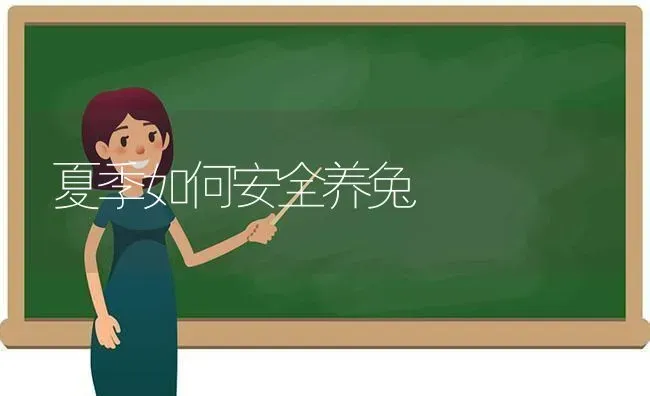 夏季如何安全养兔 | 家畜养殖