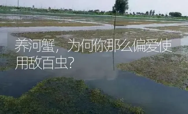 养河蟹，为何你那么偏爱使用敌百虫？ | 淡水养殖