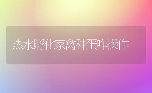 热水孵化家禽种蛋咋操作 | 家禽养殖