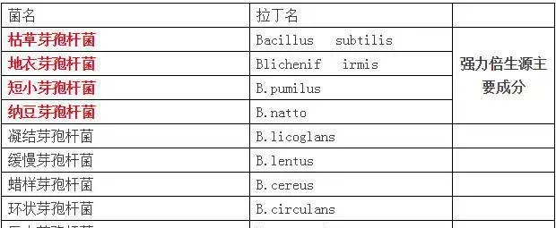 涨姿势！对虾养殖中常见有益菌原来都是这样“工作”的