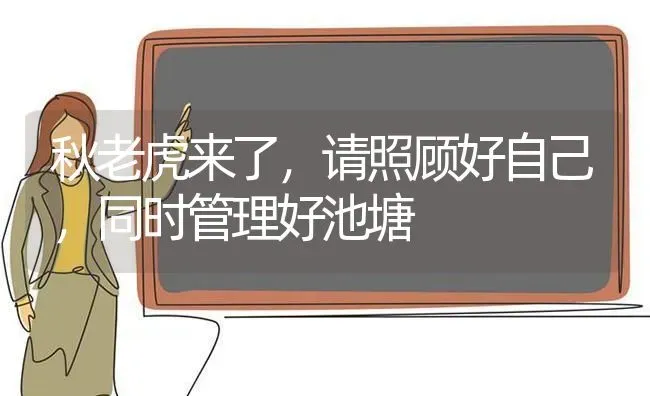 秋老虎来了，请照顾好自己，同时管理好池塘 | 动物养殖百科