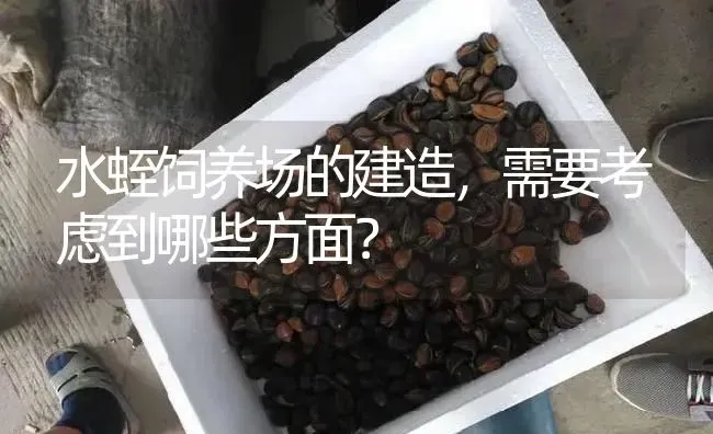 水蛭饲养场的建造，需要考虑到哪些方面？ | 特种养殖