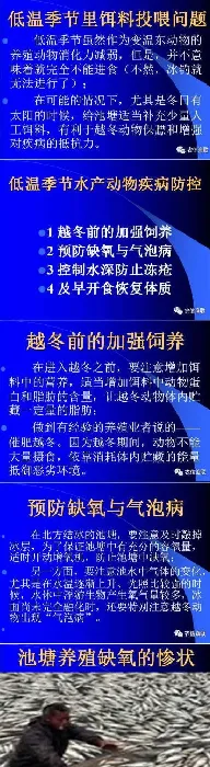 陈昌福谈低温季节水产养殖的病害防控与管理措施