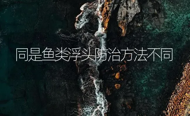 同是鱼类浮头防治方法不同 | 养殖病虫害防治