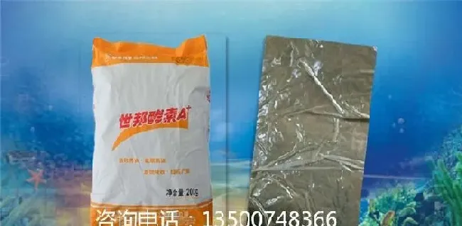 世邦酵素，适用于海淡水鱼、虾、贝、蟹、海参、海蜇、鲍鱼育苗保苗及养成