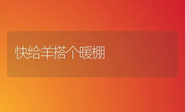 快给羊搭个暖棚 | 家畜养殖