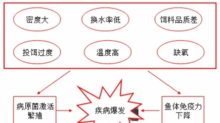 这个水质指标管不好，养殖可能全军覆没！