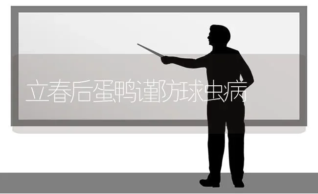 立春后蛋鸭谨防球虫病 | 家禽养殖