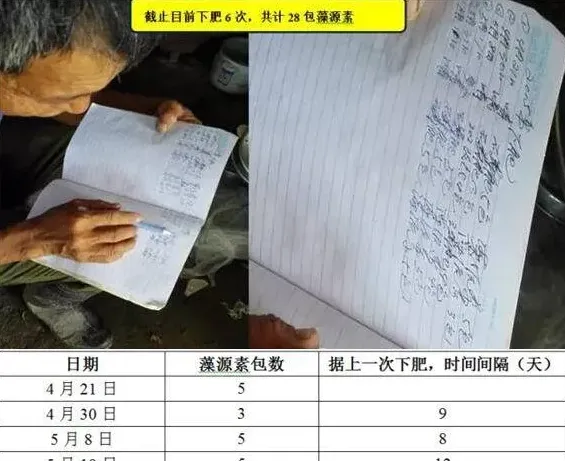 海联科“藻源素”阶段性肥水效果跟踪实例