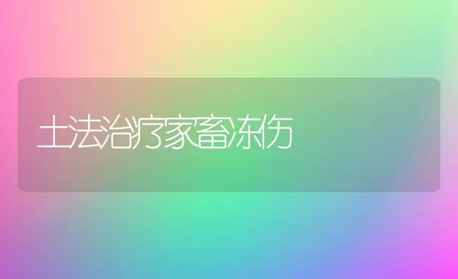 土法治疗家畜冻伤 | 家畜养殖