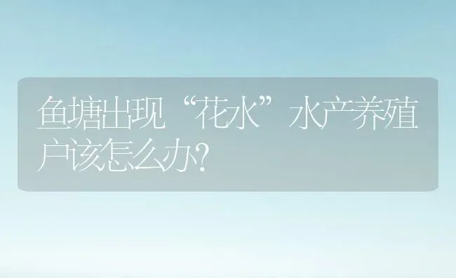 鱼塘出现“花水”水产养殖户该怎么办？ | 动物养殖百科