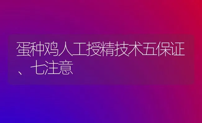 蛋种鸡人工授精技术五保证、七注意 | 家禽养殖