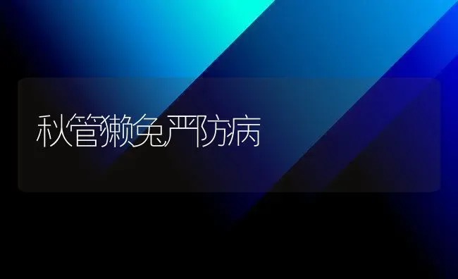 秋管獭兔严防病 | 家畜养殖