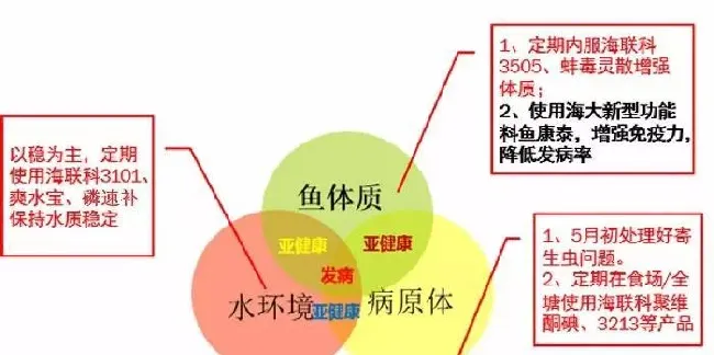 鲫鱼鳃出血病知多少，决定鱼值多少