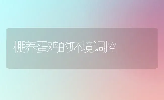 棚养蛋鸡的环境调控 | 家禽养殖