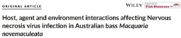 宿主、感染因子和环境对神经坏死病毒感染澳洲鲈鱼的影响
