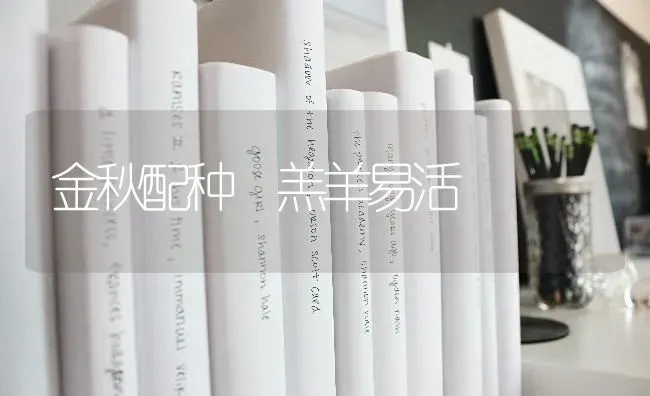 金秋配种 羔羊易活 | 家畜养殖