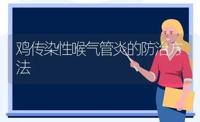 鸡传染性喉气管炎的防治方法 | 家禽养殖