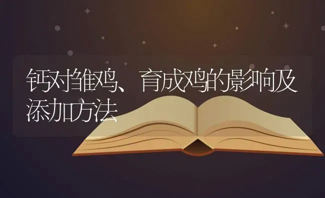 钙对雏鸡、育成鸡的影响及添加方法 | 家禽养殖