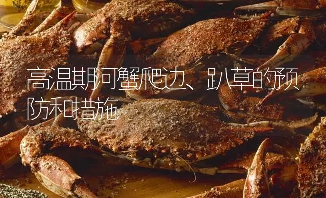 高温期河蟹爬边、趴草的预防和措施 | 淡水养殖