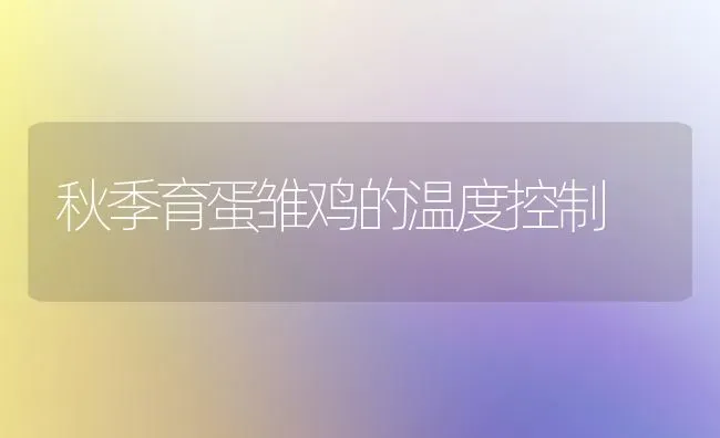 秋季育蛋雏鸡的温度控制 | 家禽养殖