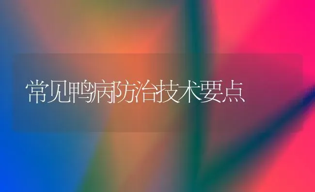 常见鸭病防治技术要点 | 家禽养殖