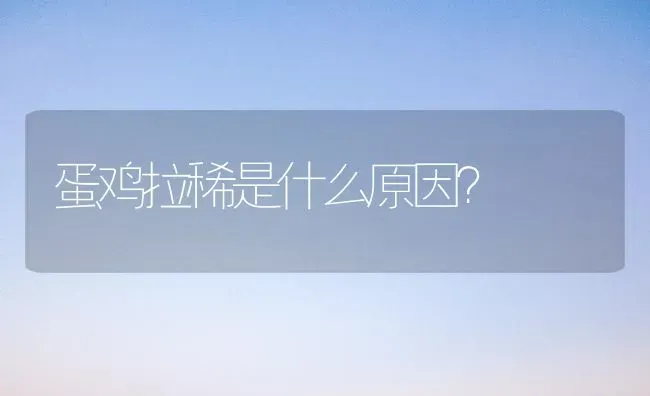 蛋鸡拉稀是什么原因？ | 家禽养殖