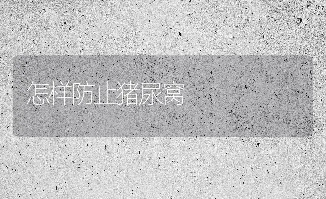怎样防止猪尿窝 | 家畜养殖