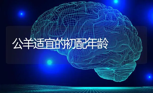 公羊适宜的初配年龄 | 家畜养殖