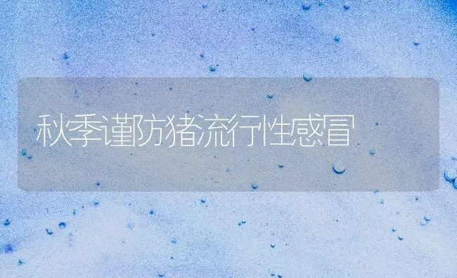 秋季谨防猪流行性感冒 | 家畜养殖
