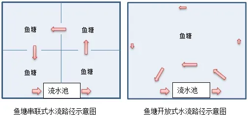 尝试微流水池养殖死鱼不断，要成功需注意什么？