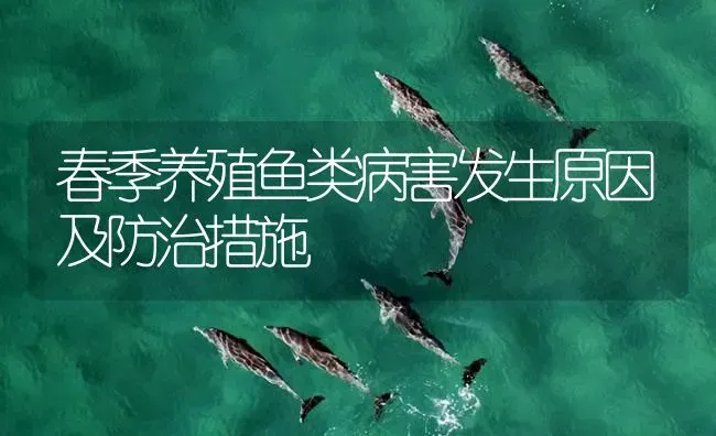 春季养殖鱼类病害发生原因及防治措施 | 养殖病虫害防治