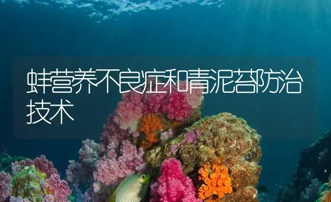 蚌营养不良症和青泥苔防治技术 | 养殖病虫害防治