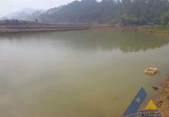 罗非鱼类立克次体病一例