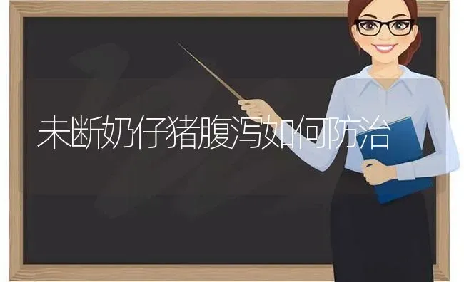 未断奶仔猪腹泻如何防治 | 家畜养殖